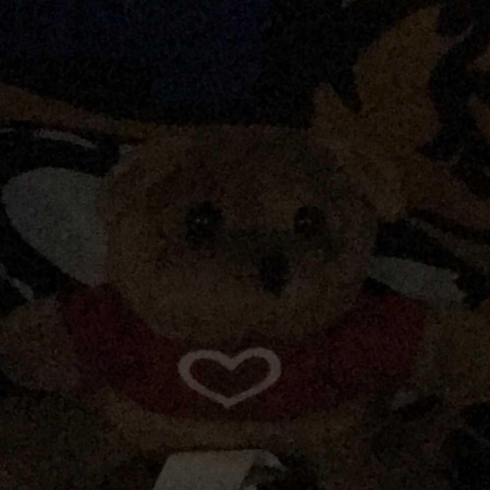 Love bear